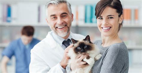 pet insurance pay vet directly.